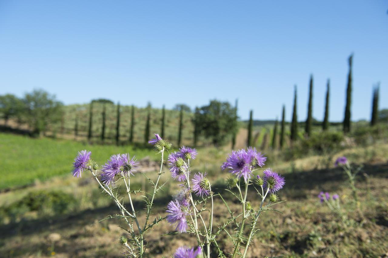 Agriturismo Poggio Corbello La Pesta Bagian luar foto