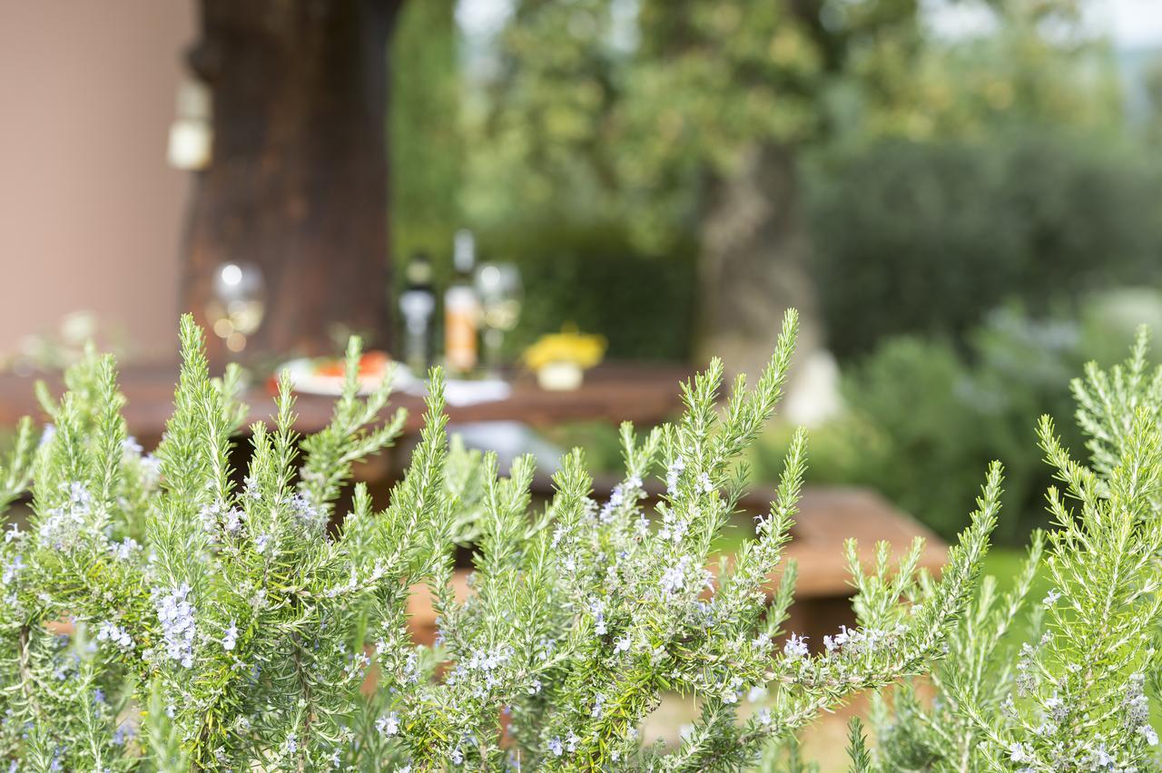 Agriturismo Poggio Corbello La Pesta Bagian luar foto