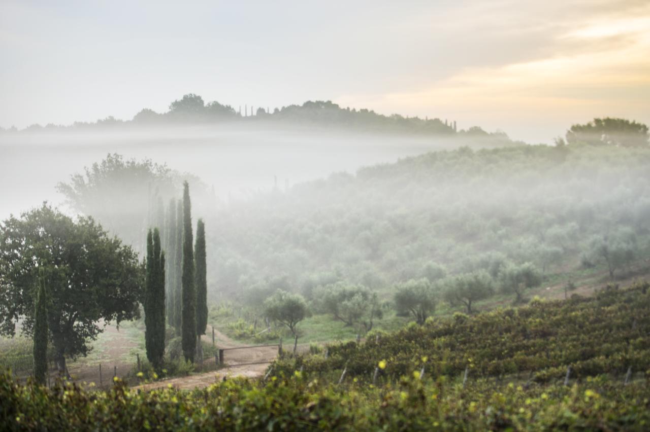 Agriturismo Poggio Corbello La Pesta Bagian luar foto