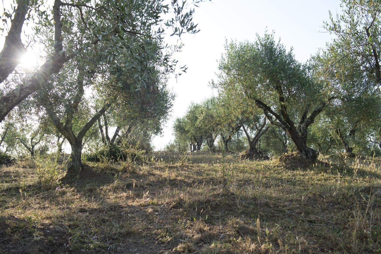 Agriturismo Poggio Corbello La Pesta Bagian luar foto
