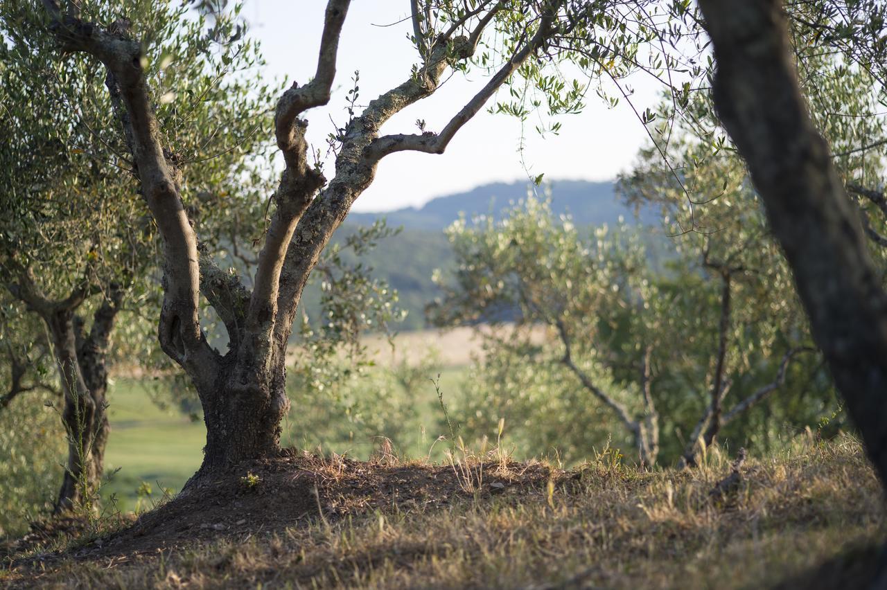 Agriturismo Poggio Corbello La Pesta Bagian luar foto