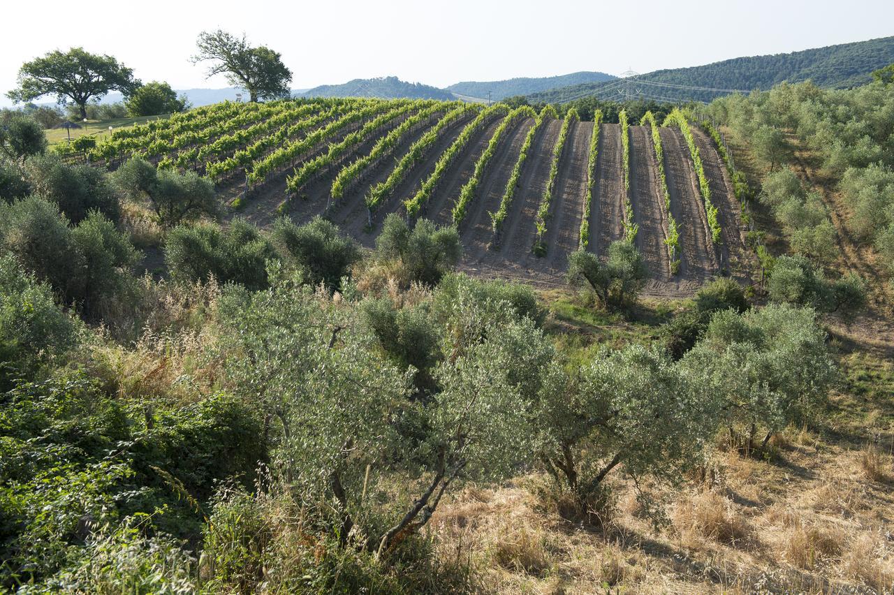 Agriturismo Poggio Corbello La Pesta Bagian luar foto