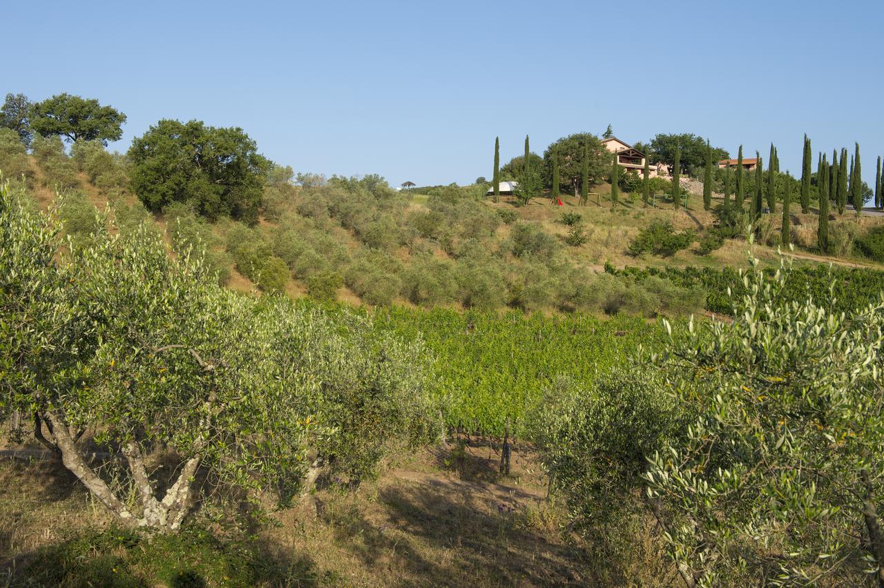 Agriturismo Poggio Corbello La Pesta Bagian luar foto