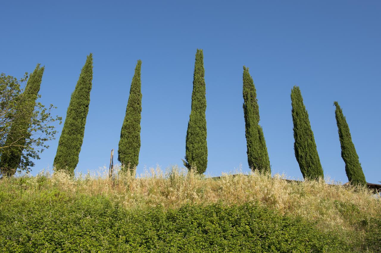 Agriturismo Poggio Corbello La Pesta Bagian luar foto